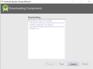 Captura de la descarga de componentes en el primer inicio de la interfaz.