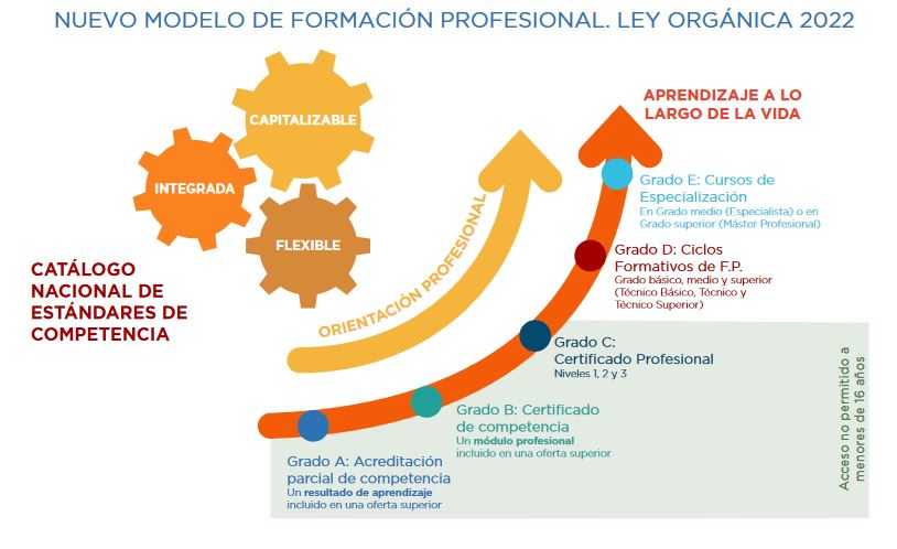 Imagen que recoge las distintos grados en los que se estructura la Formación Profesional