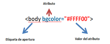 Atributos y elementos