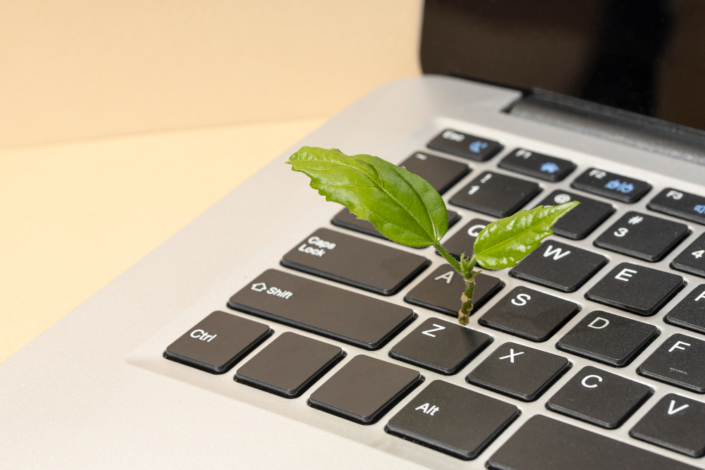 Planta creciendo en el teclado de un ordenador portátil